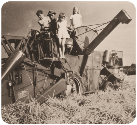 Landwirtschaf Wernges 7