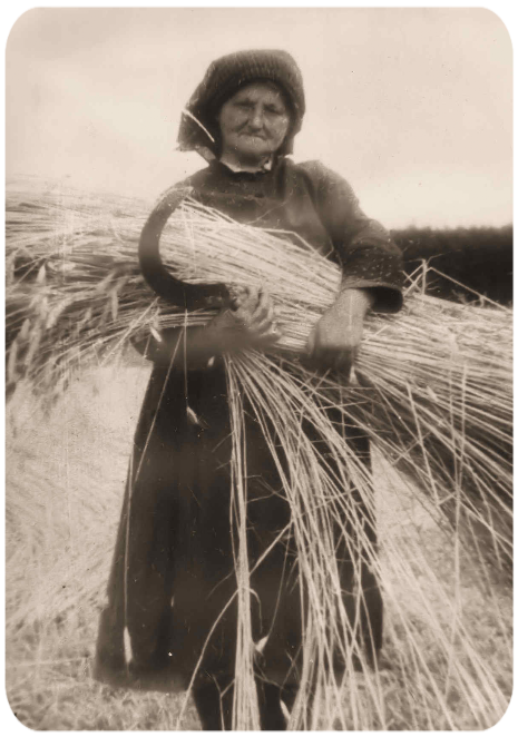 Landwirtschaf Wernges 8