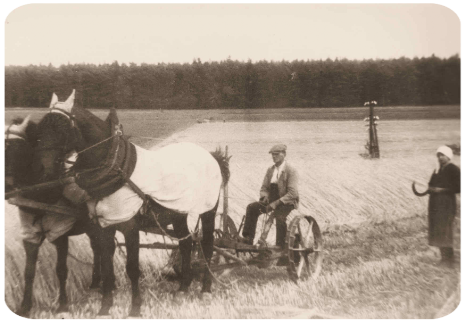 Landwirtschaf Wernges 2