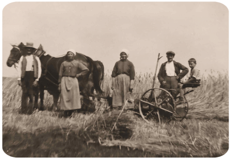 Landwirtschaf Wernges 1