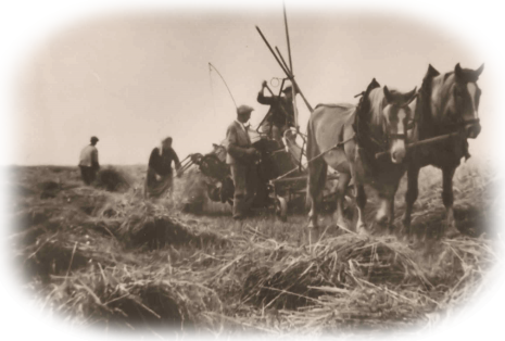 Landwirtschaf Wernges 3