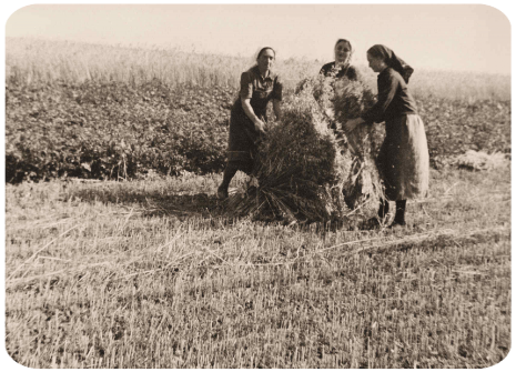 Landwirtschaf Wernges 1o