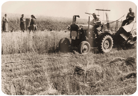 Landwirtschaf Wernges 4